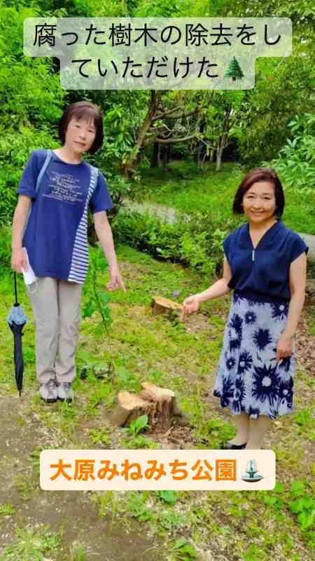 子ども達の通学路となる「大原みねみち公園の樹木🌲の根元が腐敗」していて心配とのお声がありました。